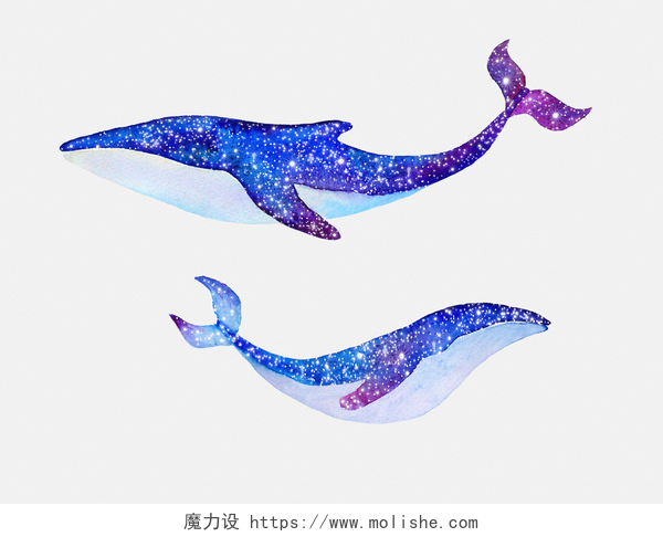 白色背景上的星空水彩鲸鱼与星空水彩鲸鱼